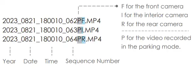 File Format Definition